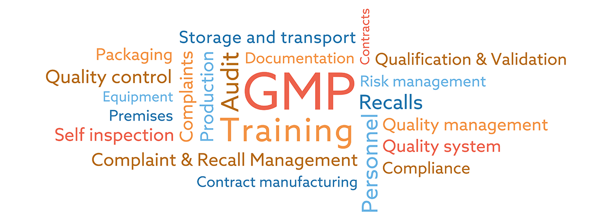 GMP Training Image